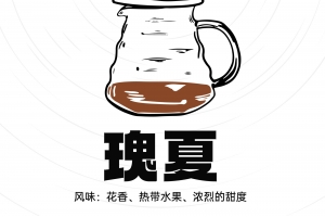 每天认识一款咖啡之瑰夏为什么出名？