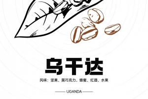 每天认识一款咖啡之乌干达