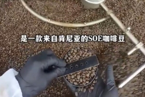 远淳咖啡带你沉浸式烘焙肯尼亚的SOE咖啡豆
