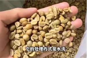 远淳咖啡工厂今天又进来1吨咖啡生豆