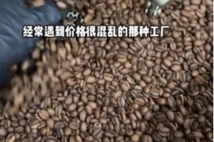 咖啡豆价格由哪些因素决定？