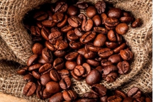 跟远淳咖啡沉浸式烘焙耶加雪菲咖啡豆