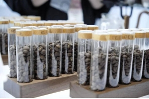 【凤凰网】一家可靠的咖啡工厂如何助力咖啡品牌发展？